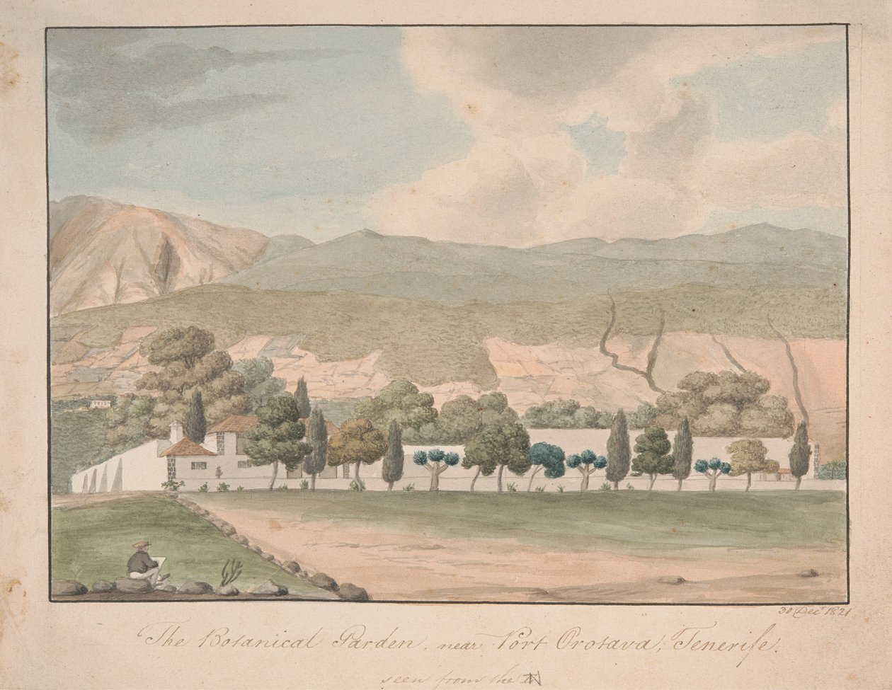 Botaniska trädgården nära Port Orotava, Teneriffa av Alfred Diston