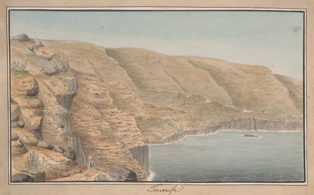 Utsikt över La Rambla de Castro nära Port Orotava, Teneriffa av Alfred Diston