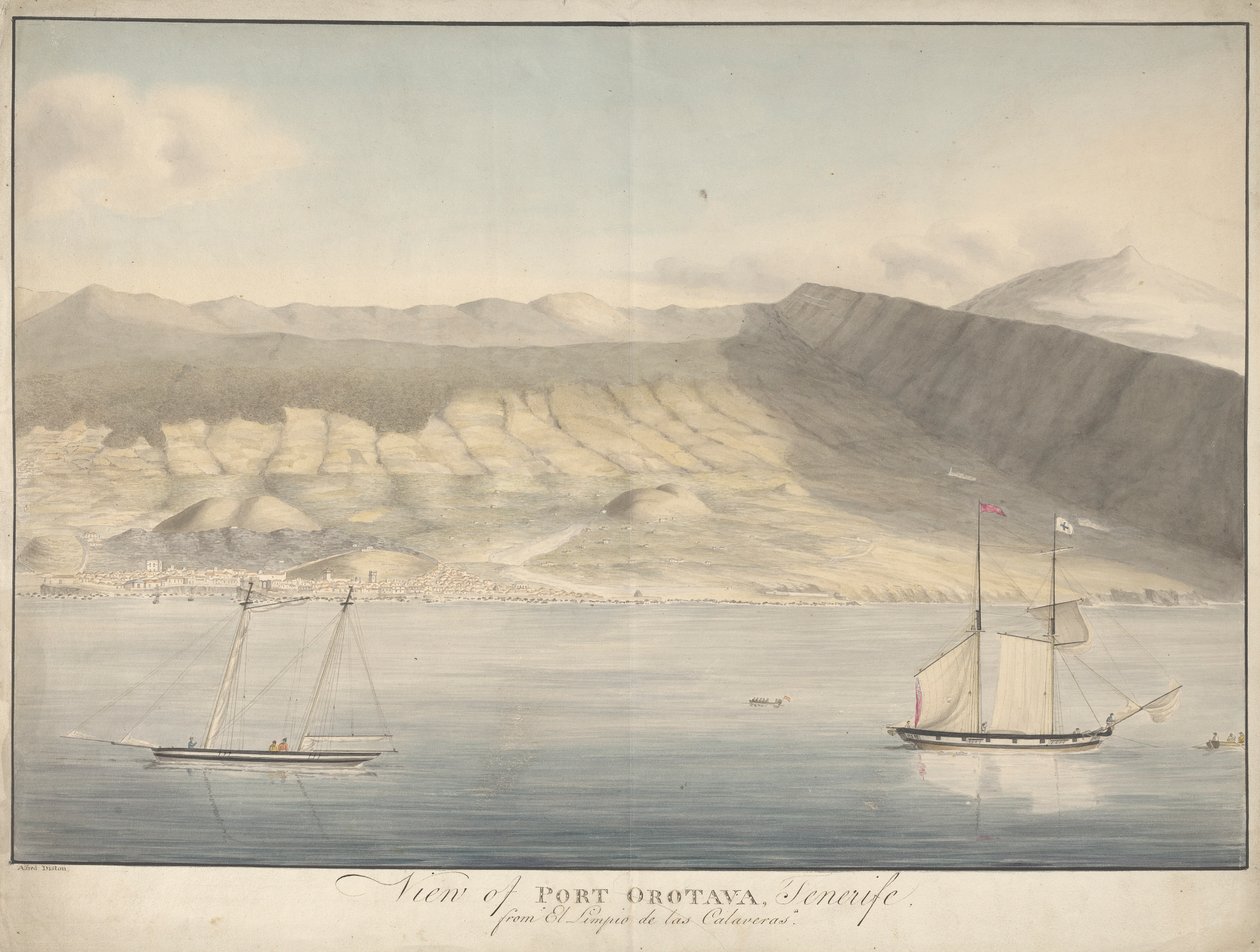 Utsikt över Port Orotava, Teneriffa, från El Limpio de Las Calaveras av Alfred Diston