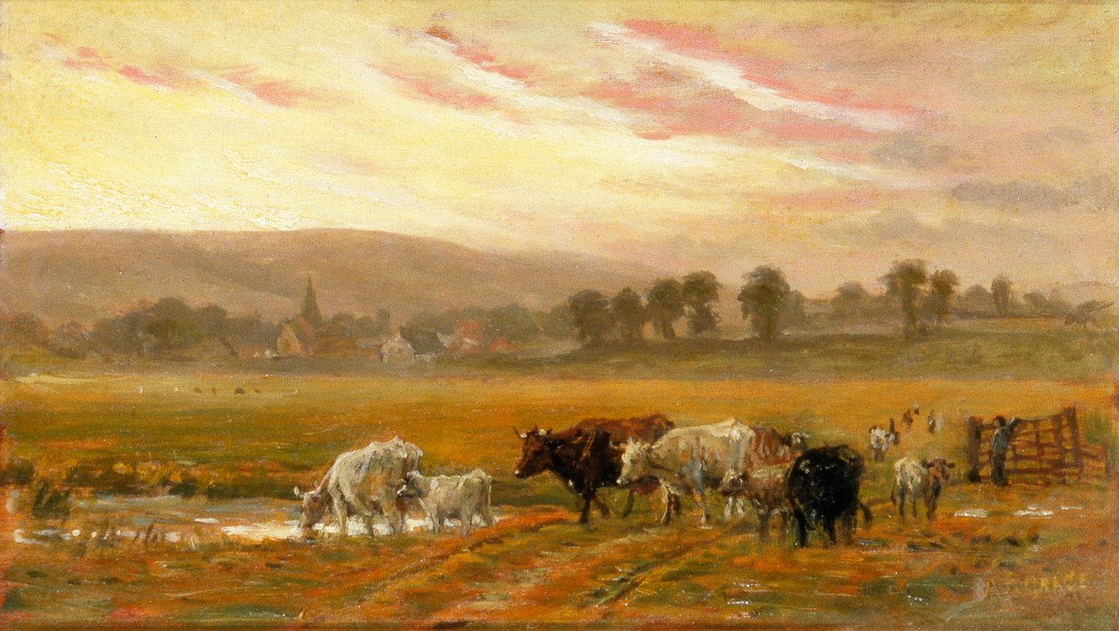 Solnedgång nära Amberley (olja på duk) av Alfred Fitzwalter Grace