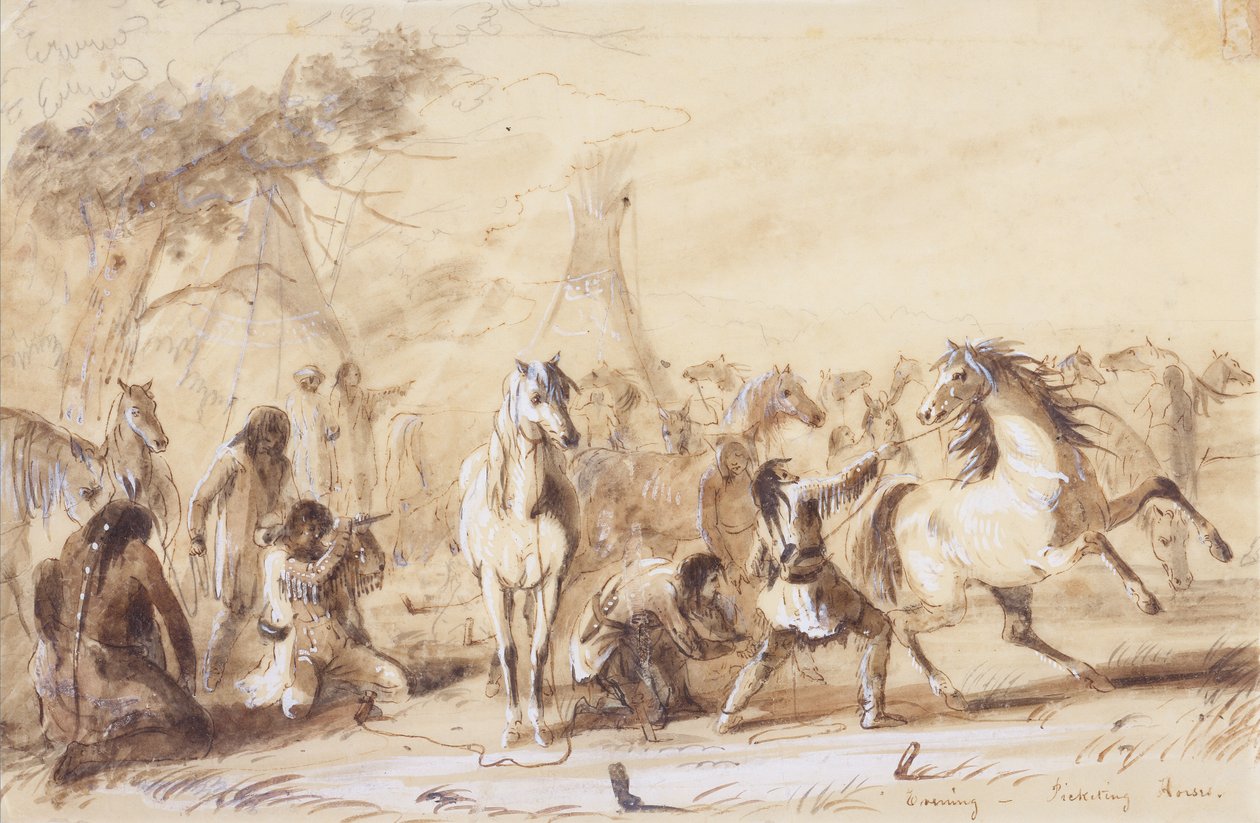 Evening, Picketing Horses, c.1837 (penna, tvätt och gouache på papper) av Alfred Jacob Miller