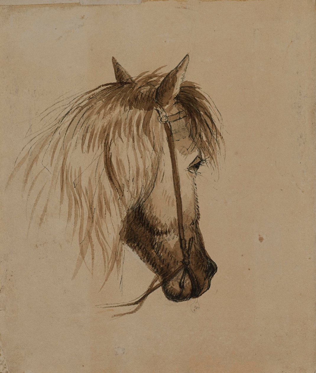Hästhuvud av Alfred Jacob Miller