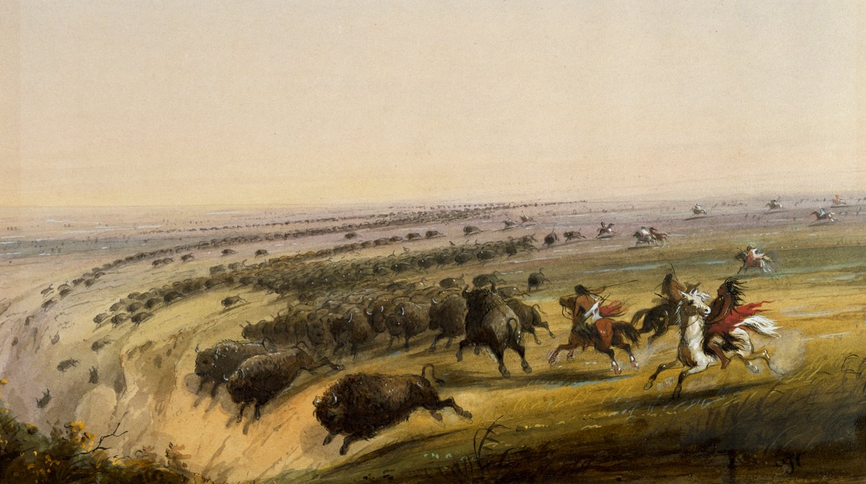 Bisonjakt av Alfred Jacob Miller
