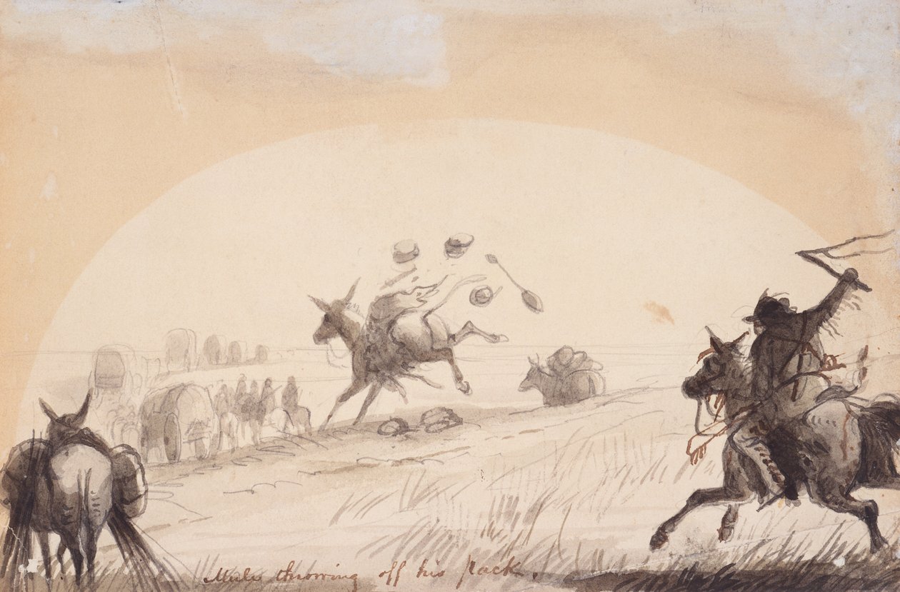 Mule Throwing Off His Pack, ca 1837 (penna, penna och bläck, och tvätta på papper) av Alfred Jacob Miller