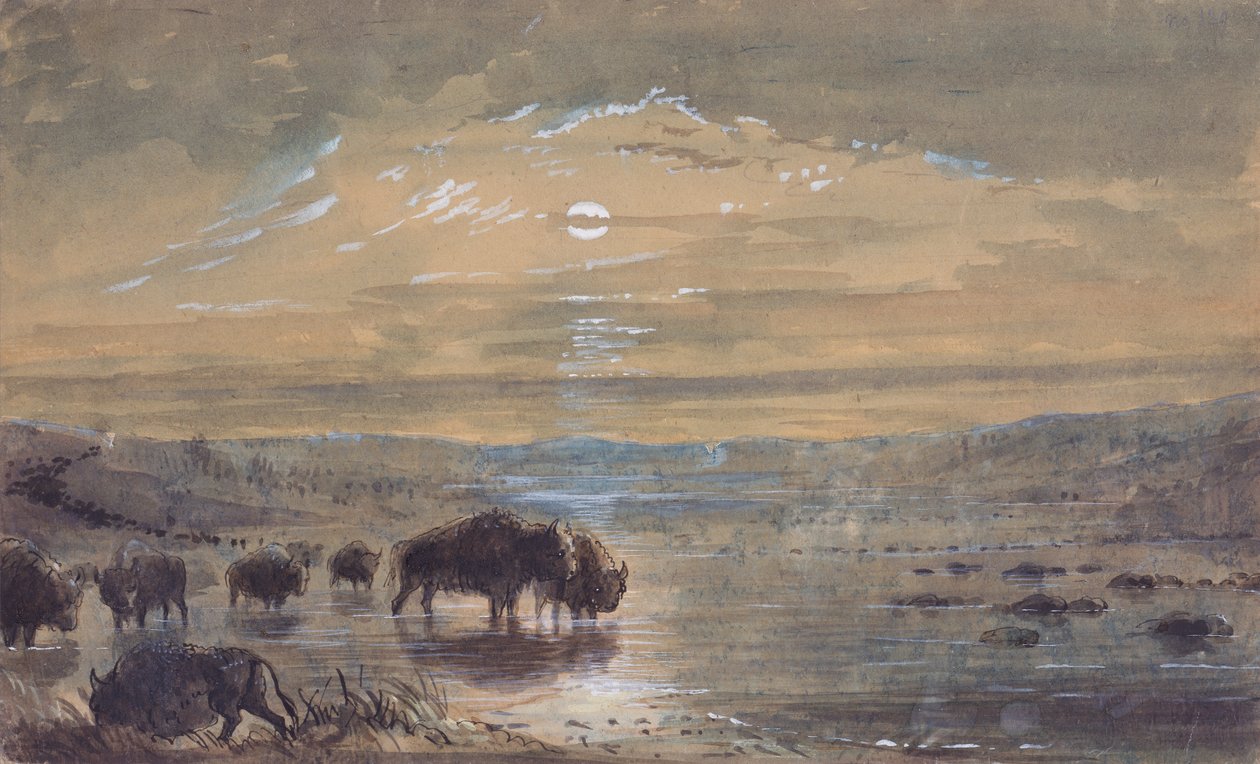Nattscen, Buffaloes on the Prairie, ca 1837 (akvarell på papper) av Alfred Jacob Miller