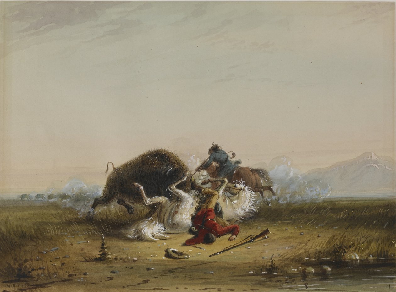 Pierre och buffeln av Alfred Jacob Miller