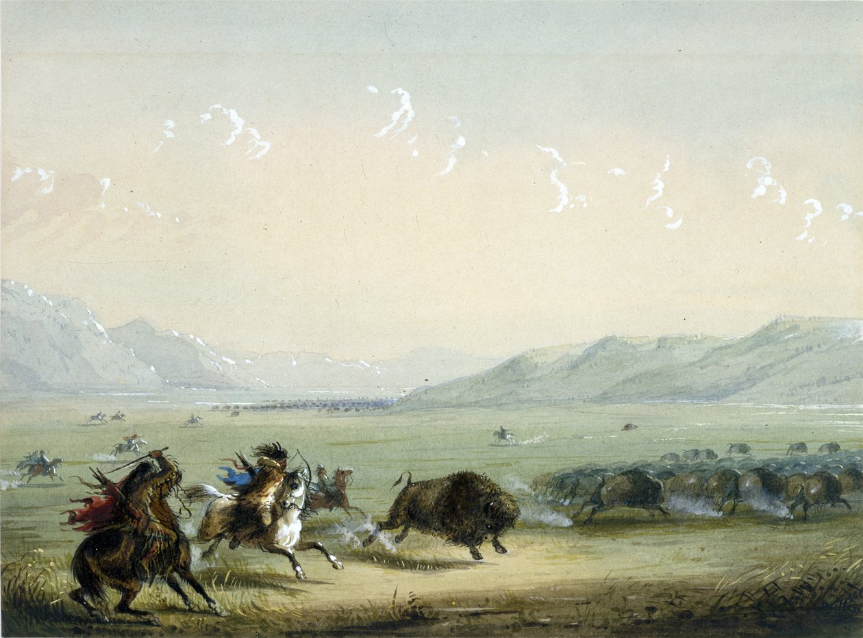Löpande buffel av Alfred Jacob Miller