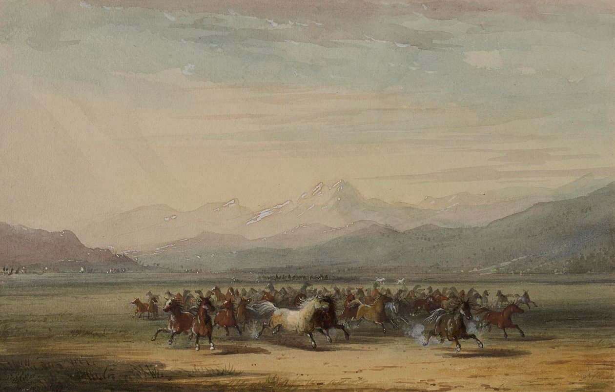 Vilda hästars skenande flock av Alfred Jacob Miller