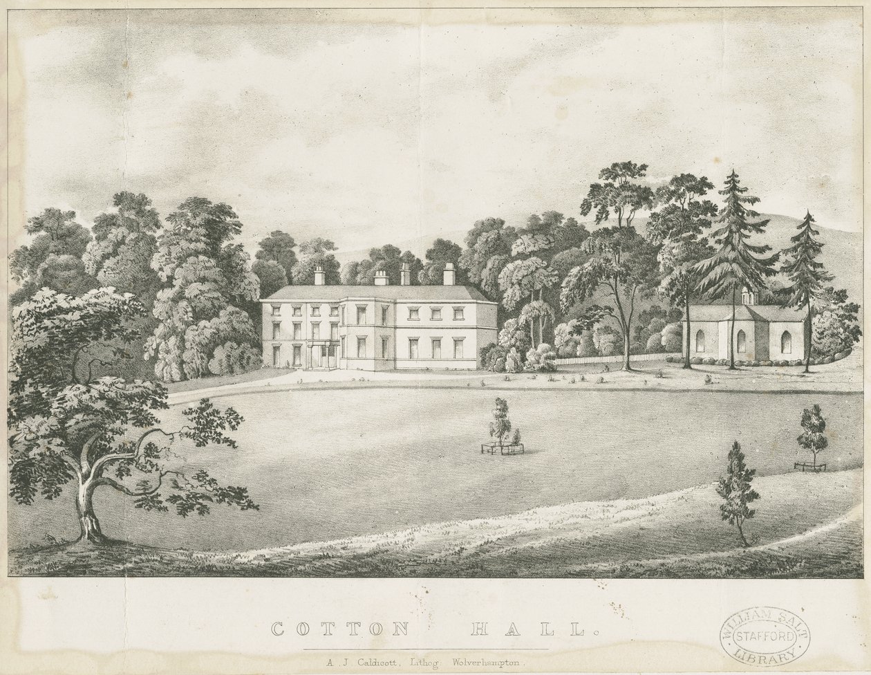 Bomull - Hall: litografi och [1800-talet] av Alfred Jolly Caldicott