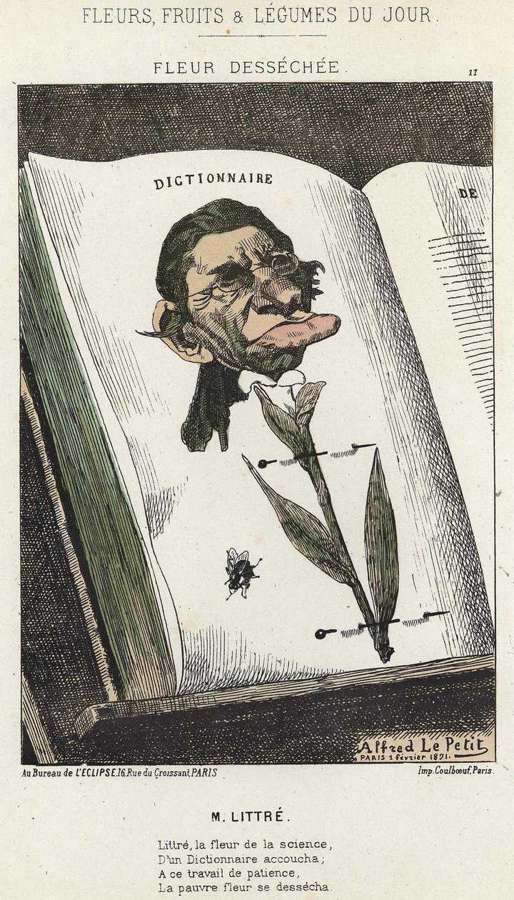 Déséchée flower: tecknad film på Littré - ill. från 1871-02-01 i "Dagens blommor, frukter och grönsaker" av Alfred Le Petit