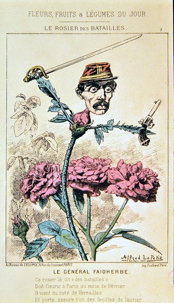 General Louis Faidherbe, från den tecknade serien "Dagens blommor, frukter och grönsaker" av Alfred Le Petit
