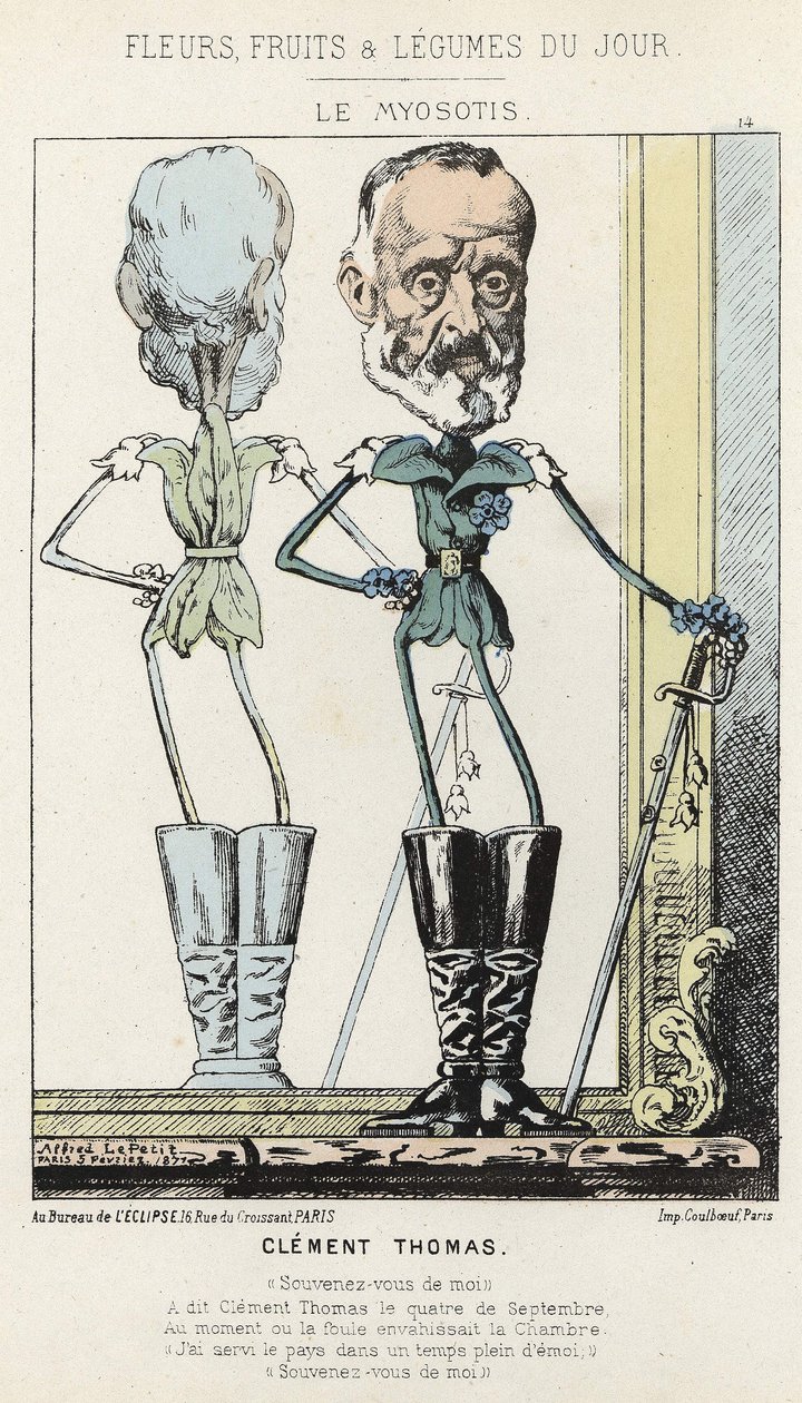 Le Myosotis: karikatyr om Clément Thomas - ill. från 1871-02-03 i "Dagens blommor, frukter och grönsaker" av Alfred Le Petit
