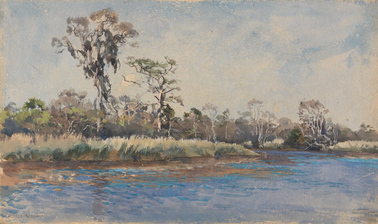 A Creek i Wilmington, N.C. av Alfred Parsons