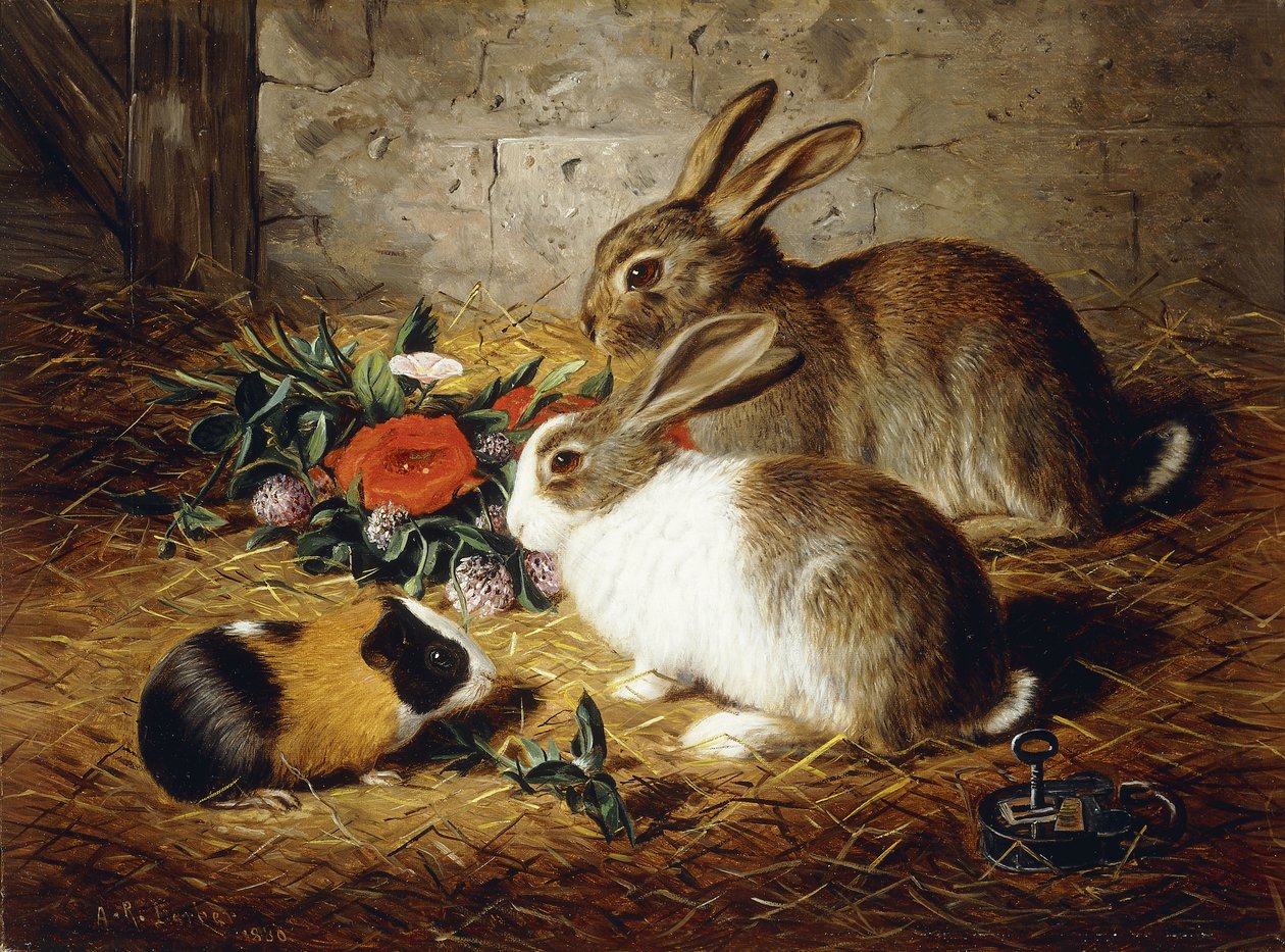 Flykt: Två kaniner och marsvin, 1880 av Alfred R. Barber