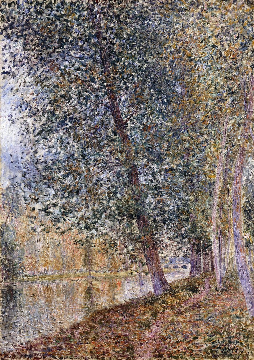Hösten, Loingens stränder; L"Autumne, Bords du Loing, 1880 av Alfred Sisley