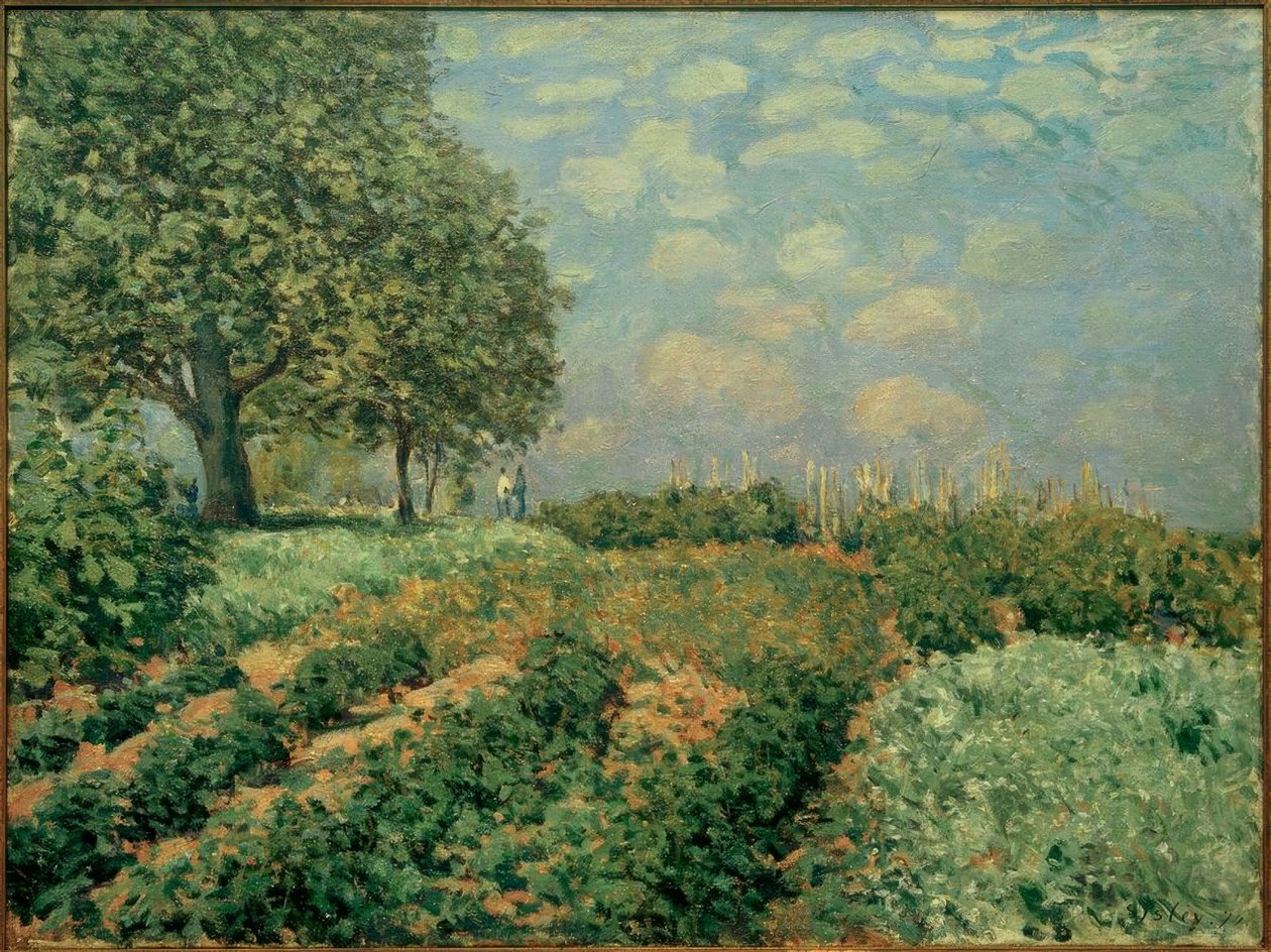 Fälten av Alfred Sisley