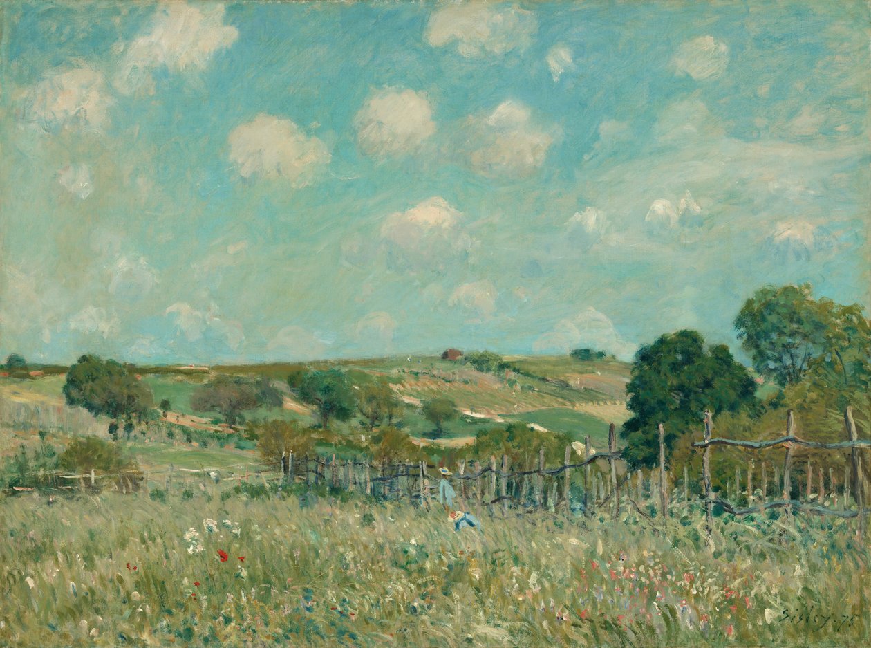 Äng av Alfred Sisley