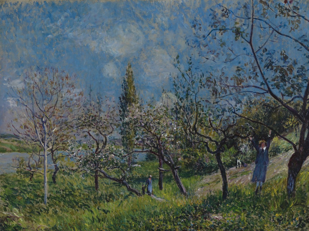 Fruktträdgård på våren av Alfred Sisley