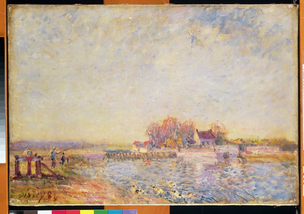 Flodscen med ankor, 1881 av Alfred Sisley