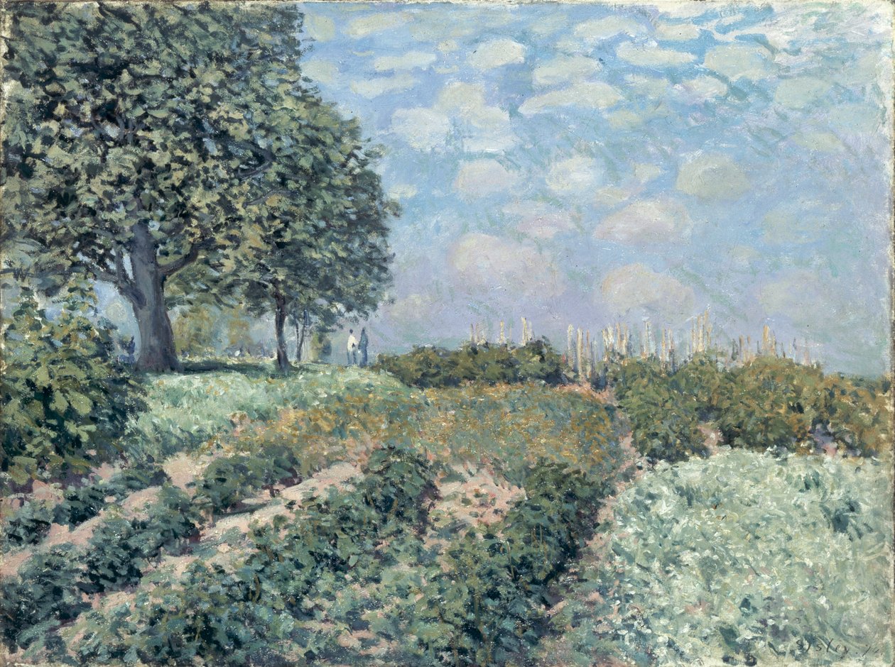 Saluträdgårdarna av Alfred Sisley