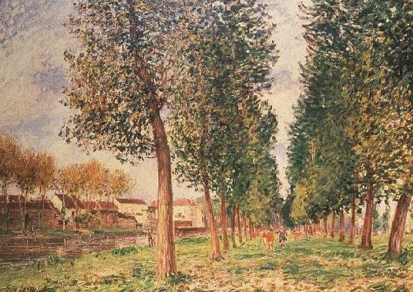 Poplar Avenue i Moret, molnig dag, morgon av Alfred Sisley