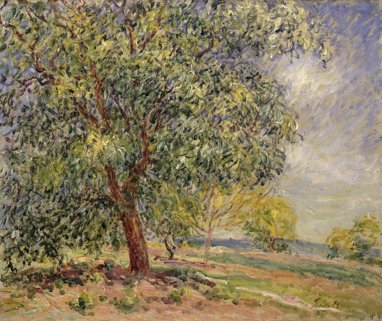 Valnötsträd på Sablons på våren; Valnötsträd vid Sablons, våren, 1885 av Alfred Sisley