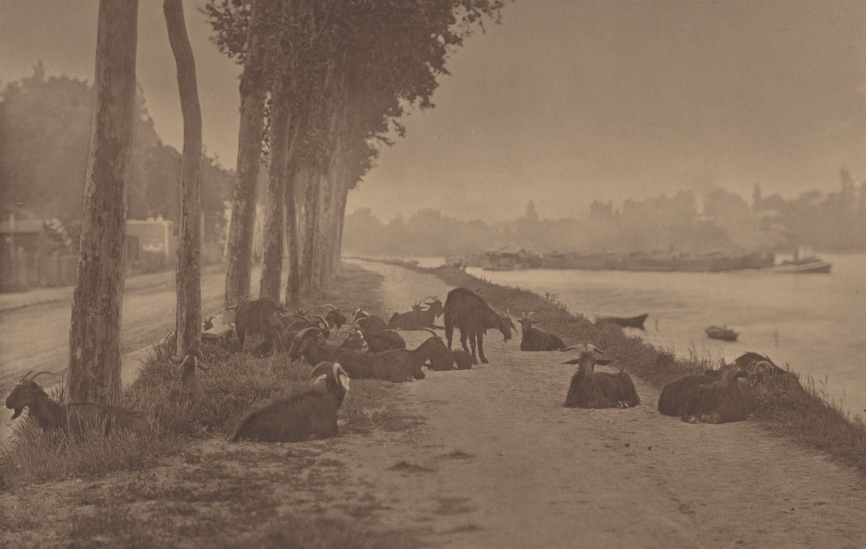 En dekorativ panel av Alfred Stieglitz