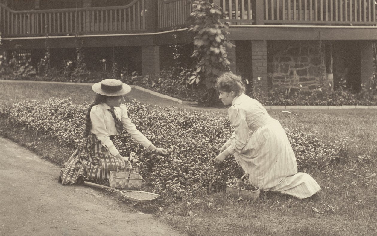 En blomsterrabatt vid Oaklawn av Alfred Stieglitz