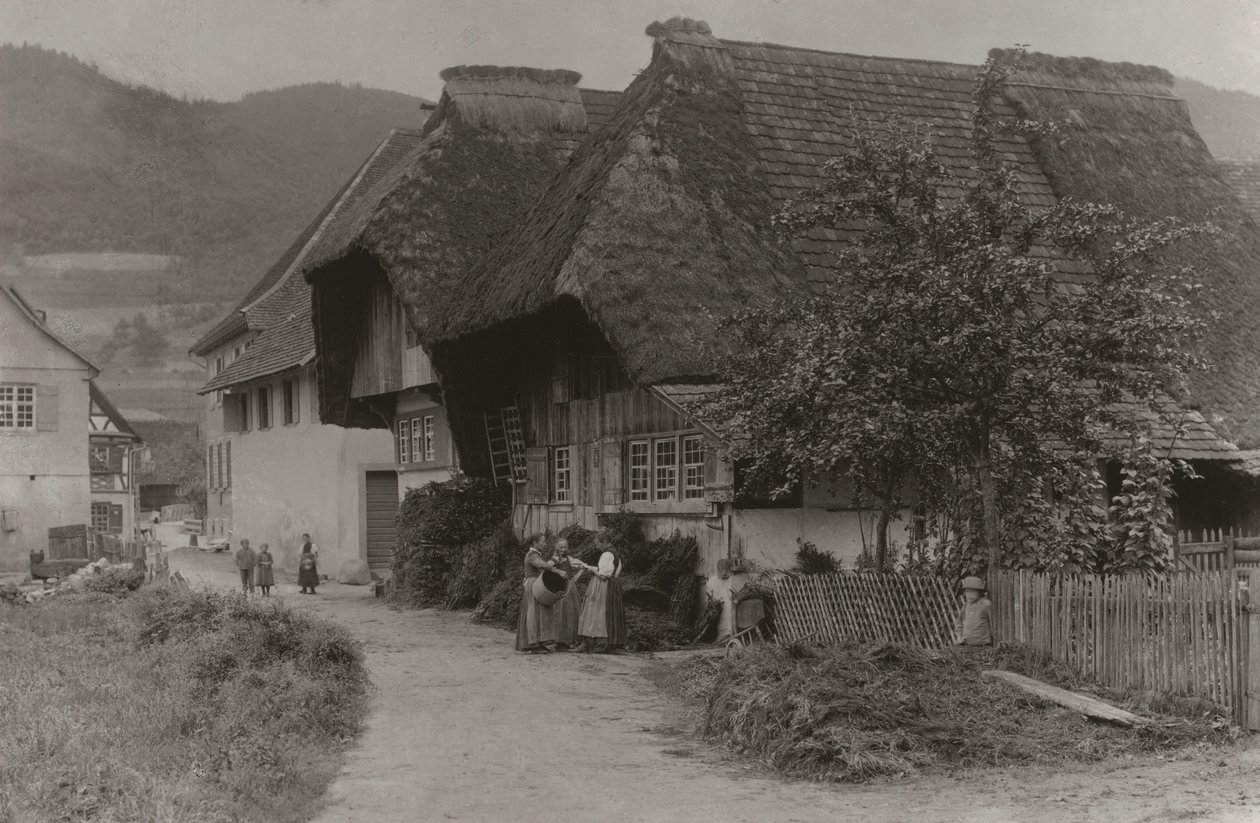 Ett möte i Gutach av Alfred Stieglitz