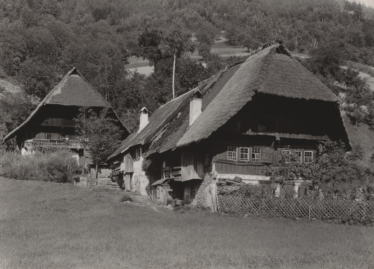 Black Forest House av Alfred Stieglitz