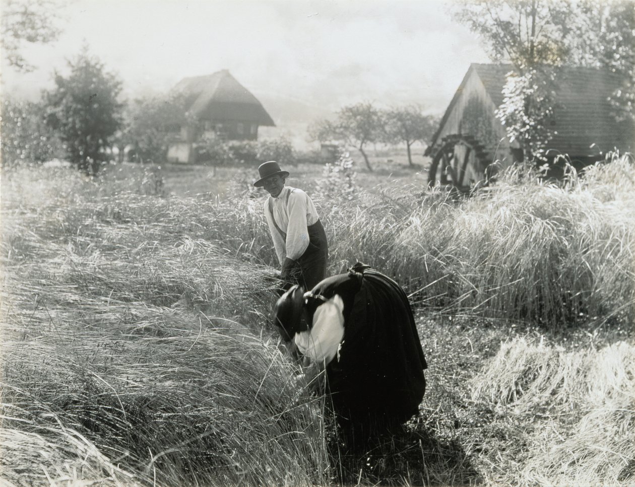 Tidigt på morgonen av Alfred Stieglitz