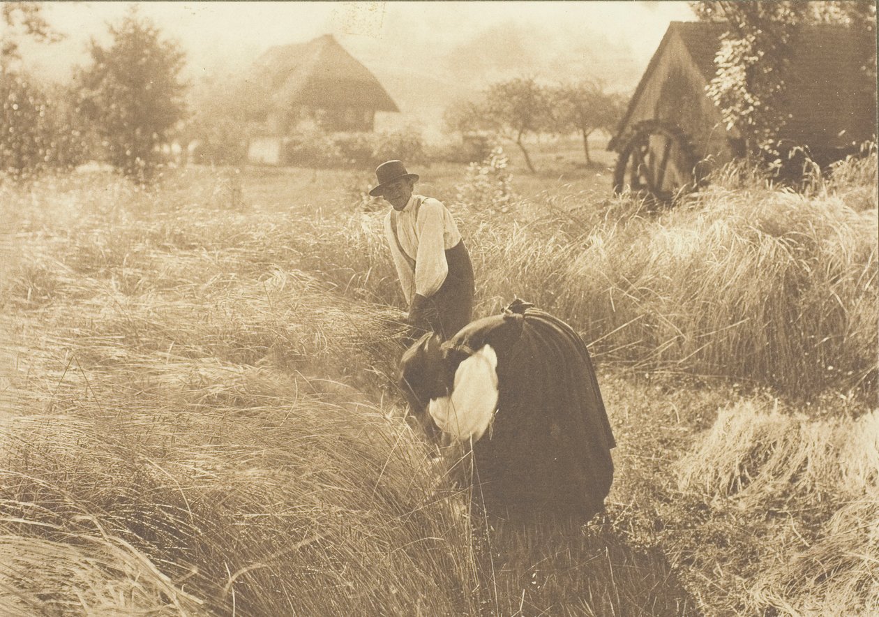 Tidig morgon, 1894. av Alfred Stieglitz