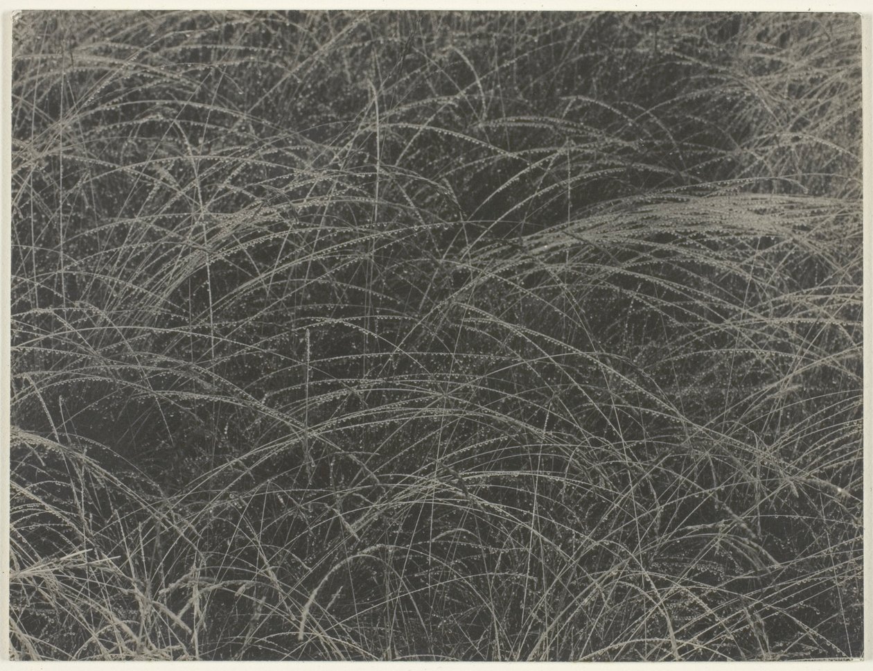Likvärdig av Alfred Stieglitz