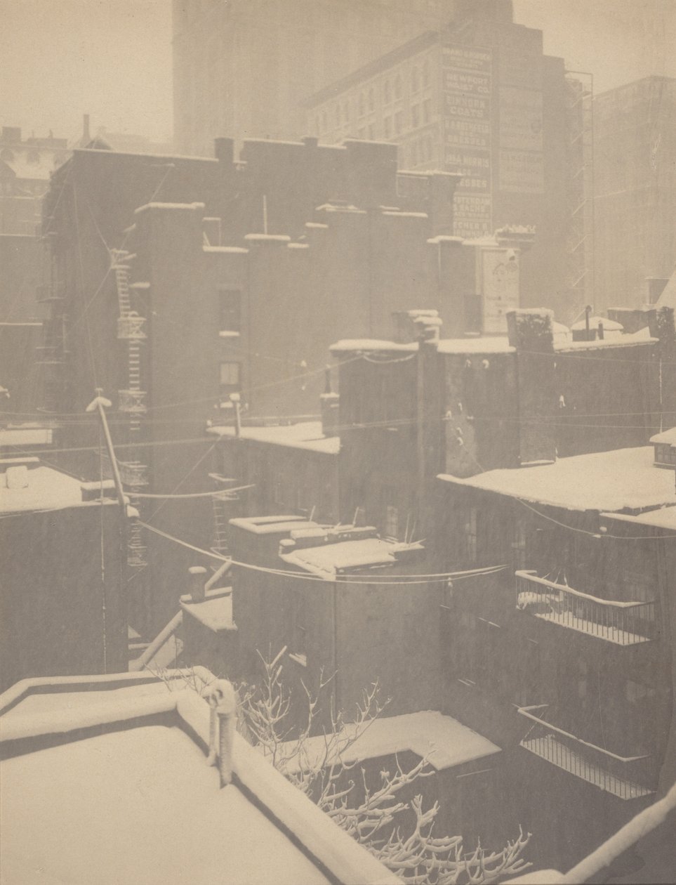Från bakfönstret - 291 av Alfred Stieglitz