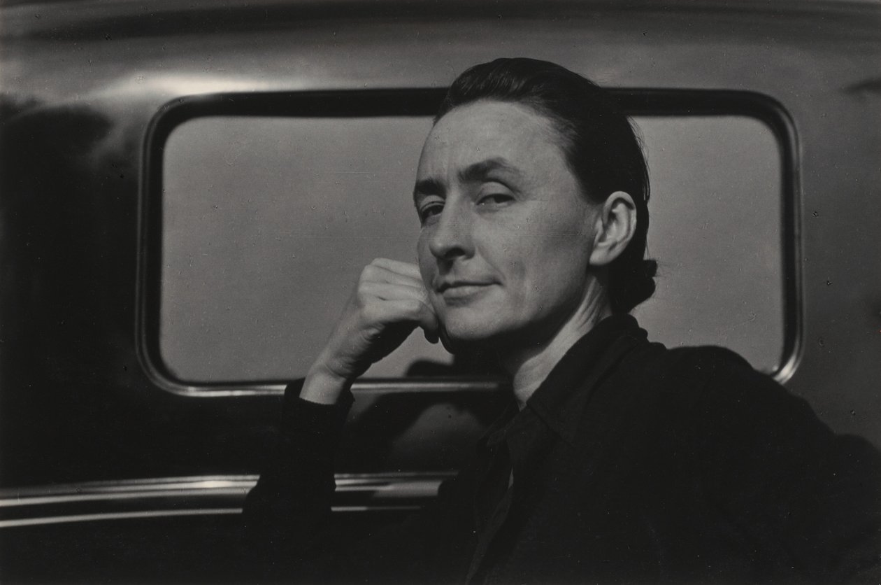 Georgia O’Keeffe – Efter återkomsten från New Mexico eller motsvarande O1 av Alfred Stieglitz