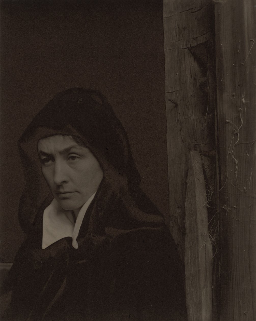 Georgia O’Keeffe av Alfred Stieglitz