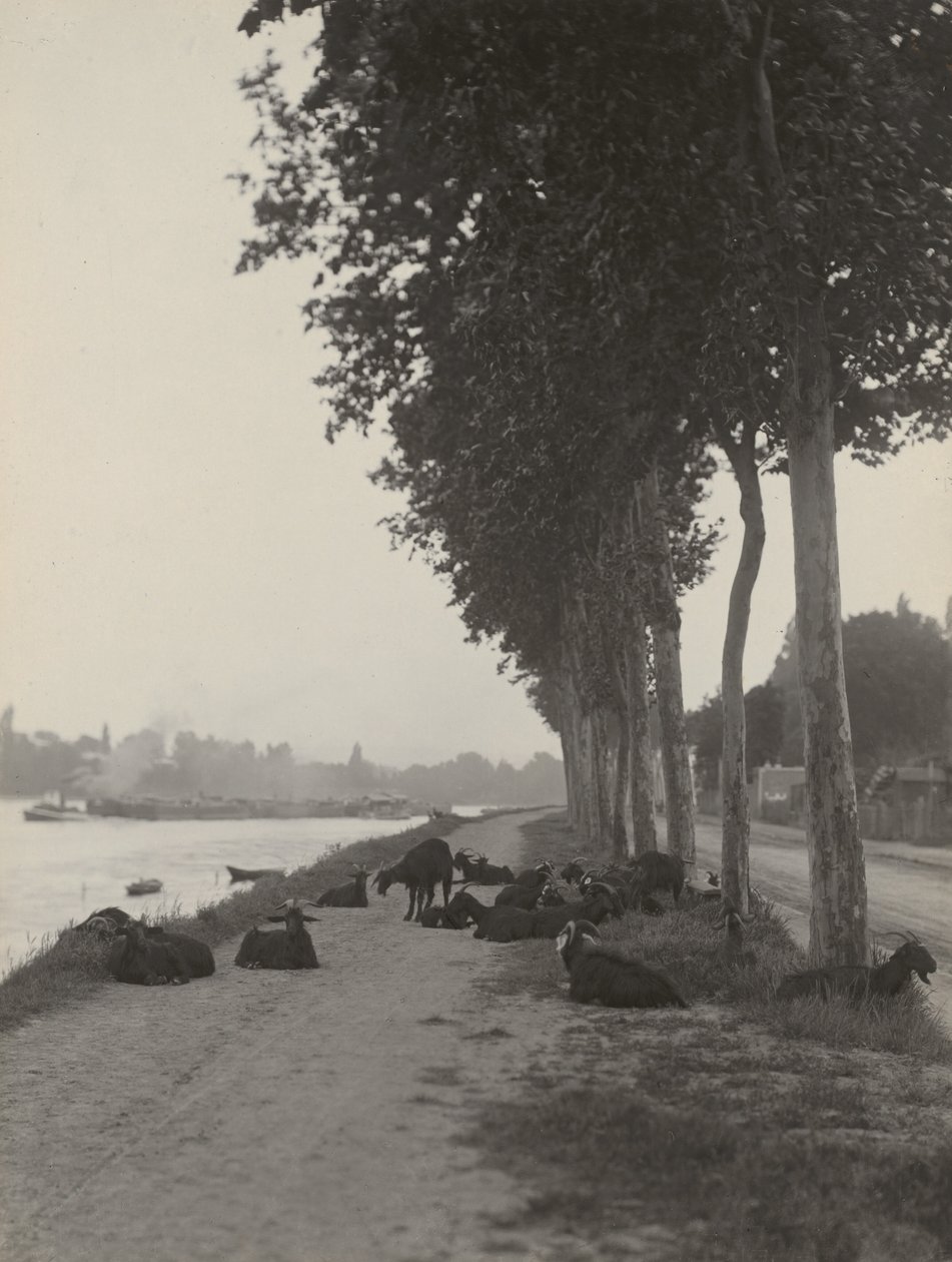 Getter utanför Paris av Alfred Stieglitz