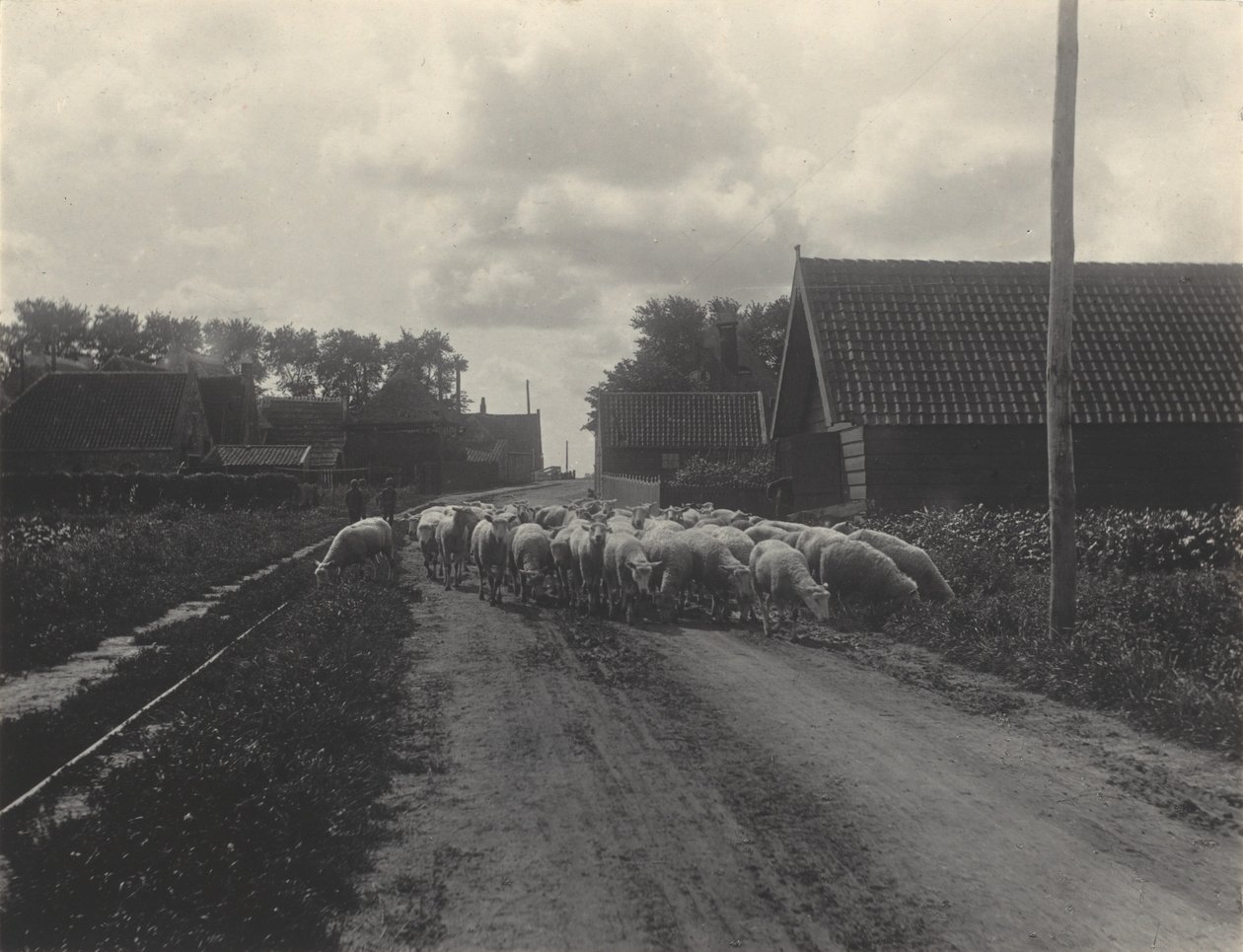 På väg till betet av Alfred Stieglitz