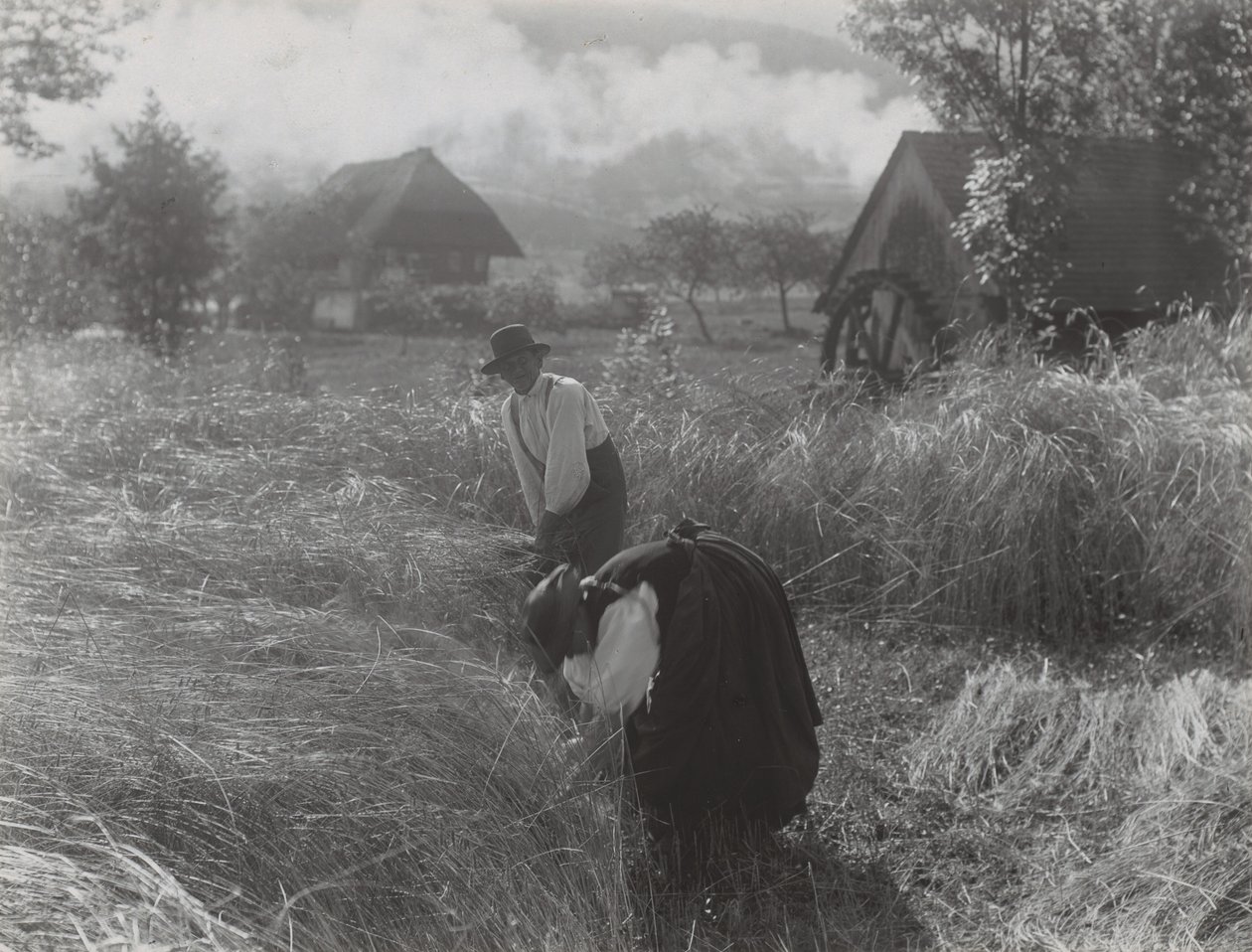 Skörd, Schwarzwald av Alfred Stieglitz