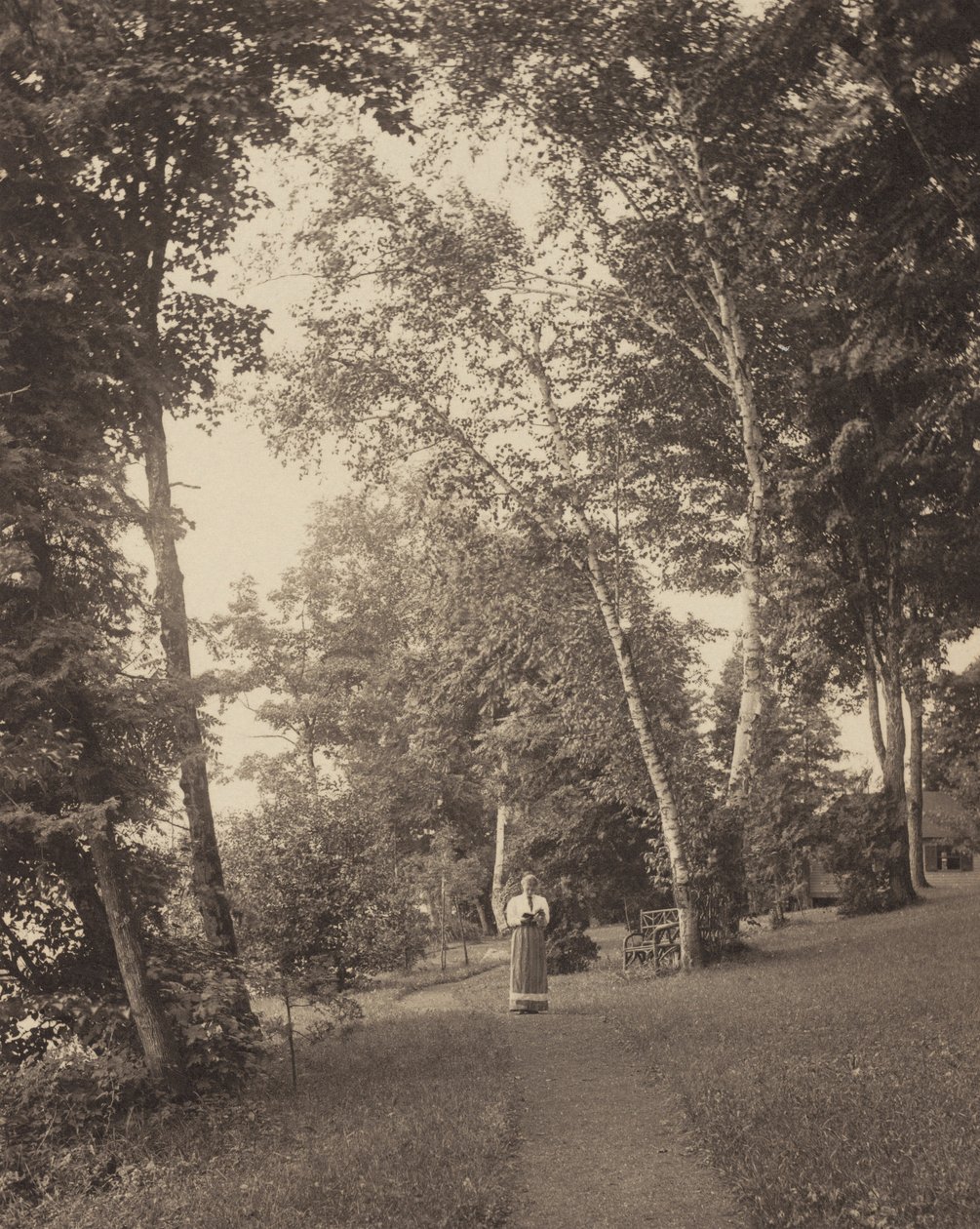 Hedwigs stig, Oaklawn, Lake George av Alfred Stieglitz