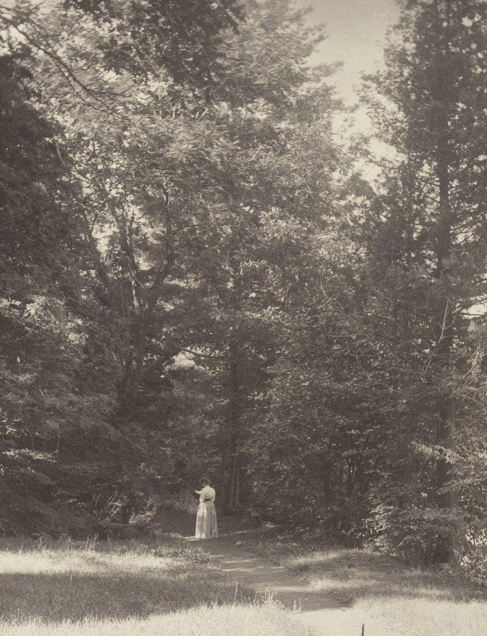 "Hedwigsweg" II, Lake George av Alfred Stieglitz