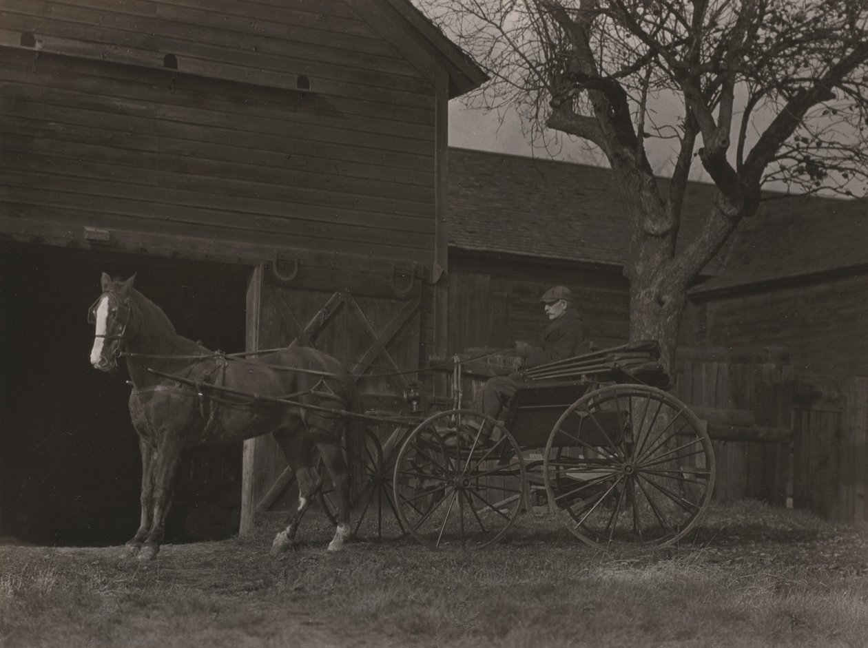 Häst och vagn av Alfred Stieglitz