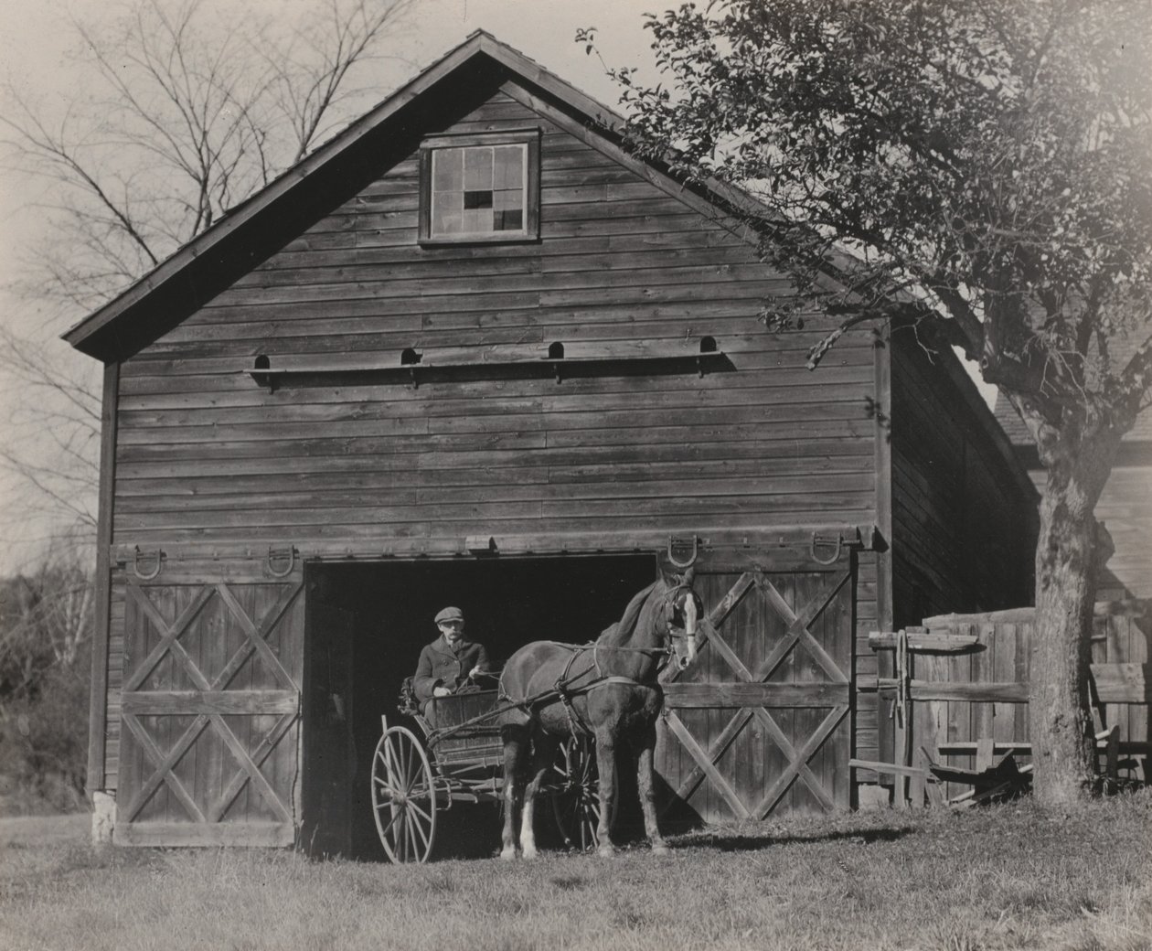 Häst och vagn av Alfred Stieglitz