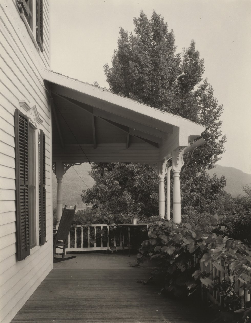Hus, löv och träd av Alfred Stieglitz