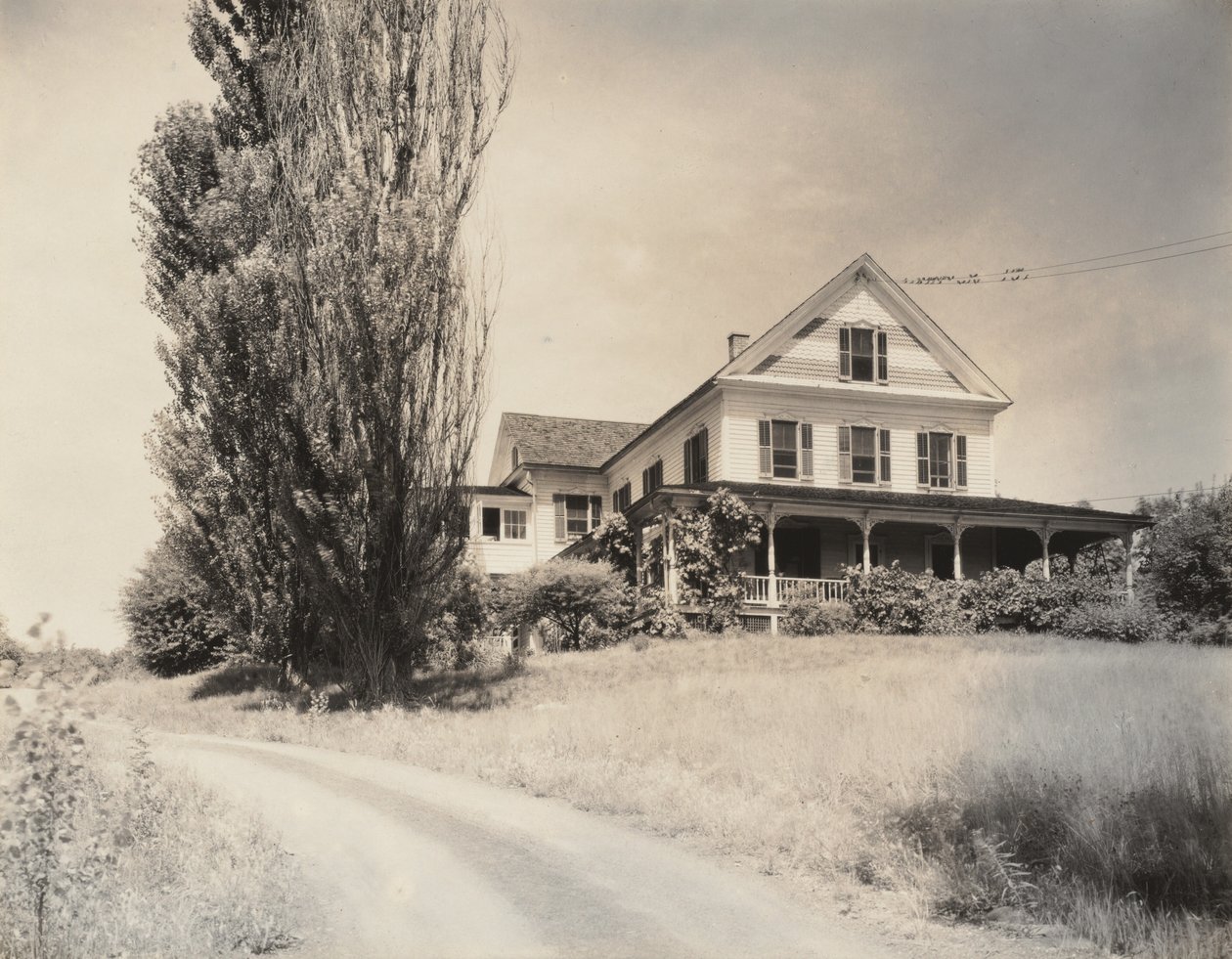 House och Poplars, Lake George av Alfred Stieglitz
