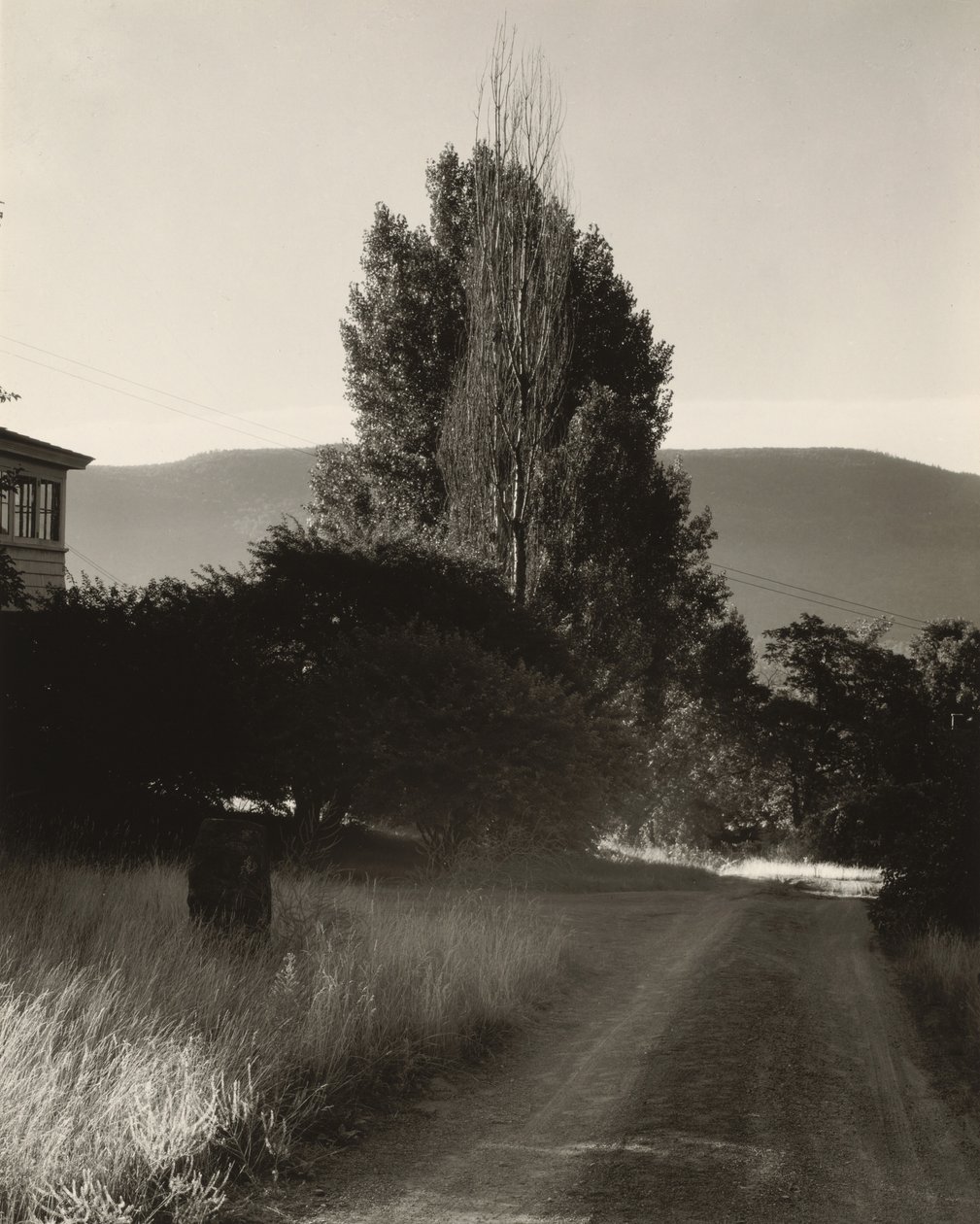 Hus och popplar, Lake George av Alfred Stieglitz
