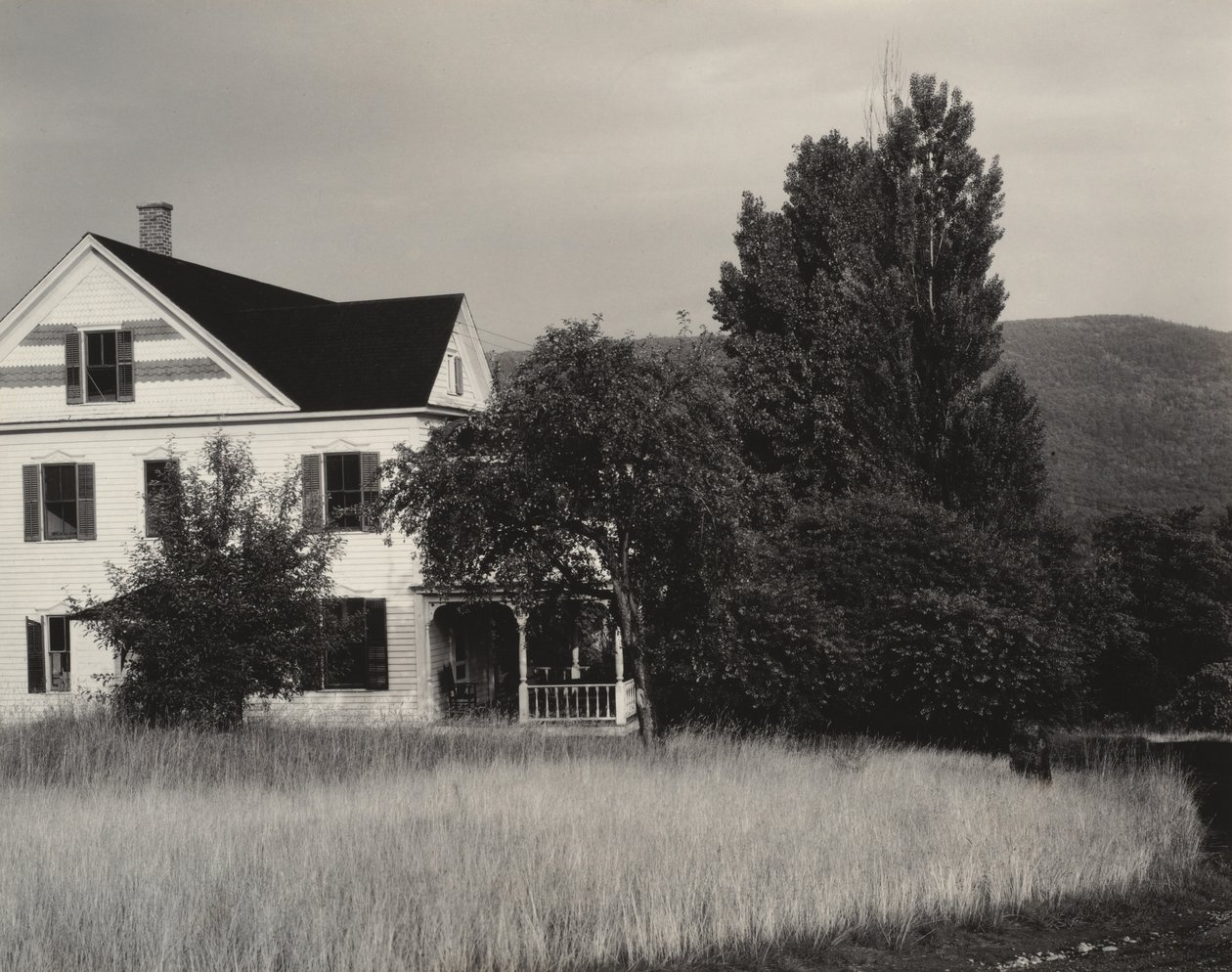 Hus och träd, Lake George av Alfred Stieglitz