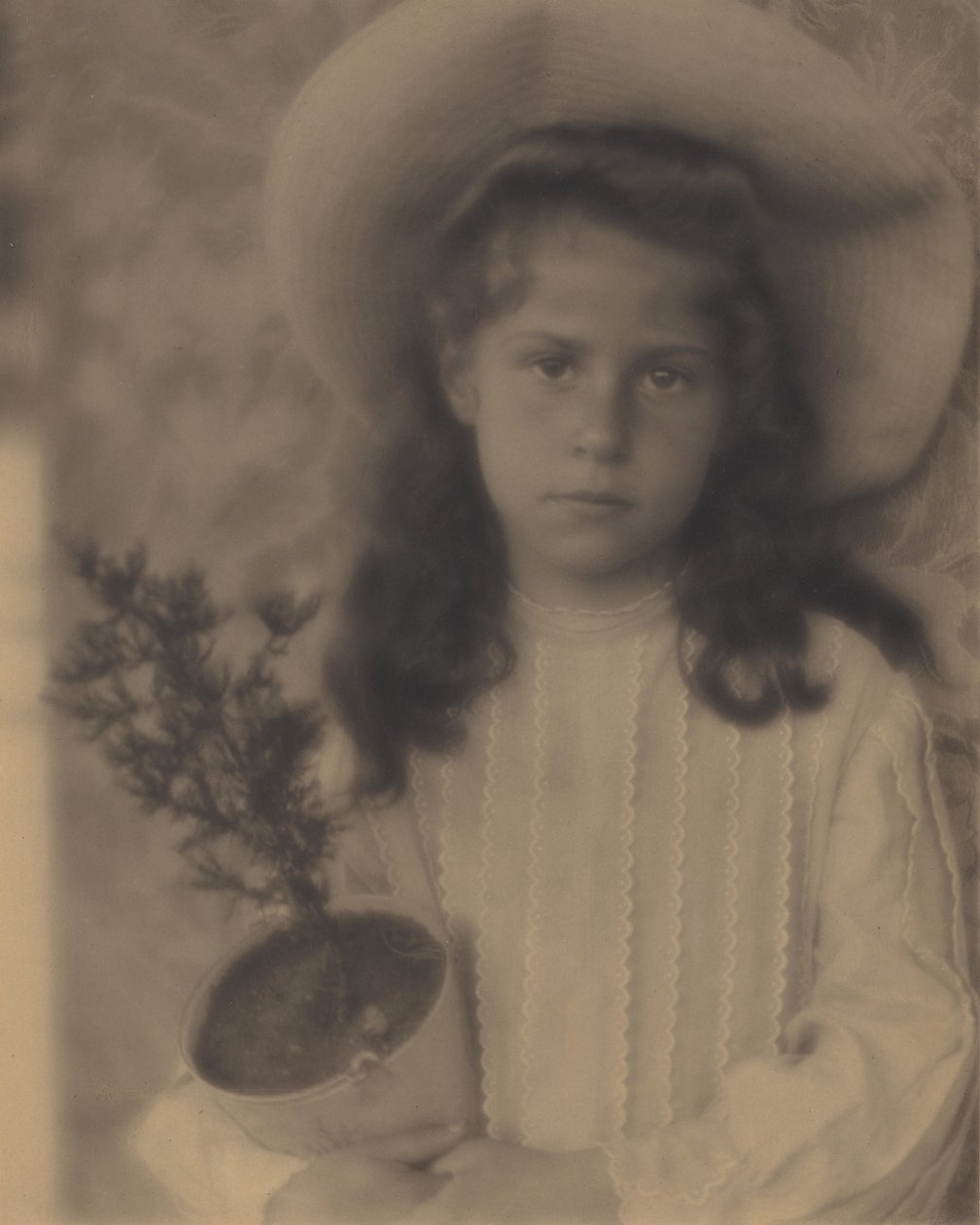 Kitty – Blomkruka av Alfred Stieglitz