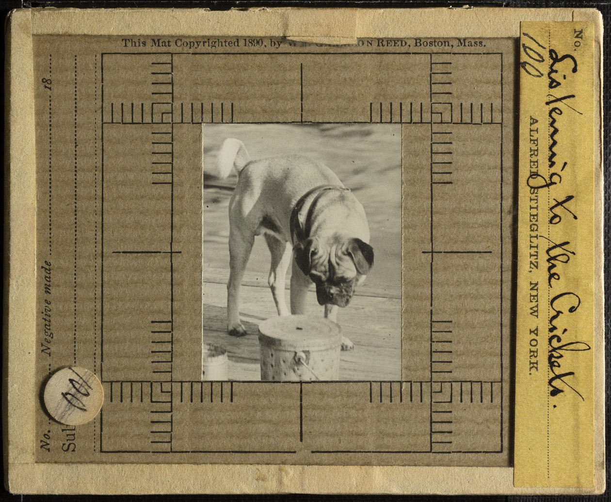 Lyssnar på Crickets, c. 1900. av Alfred Stieglitz