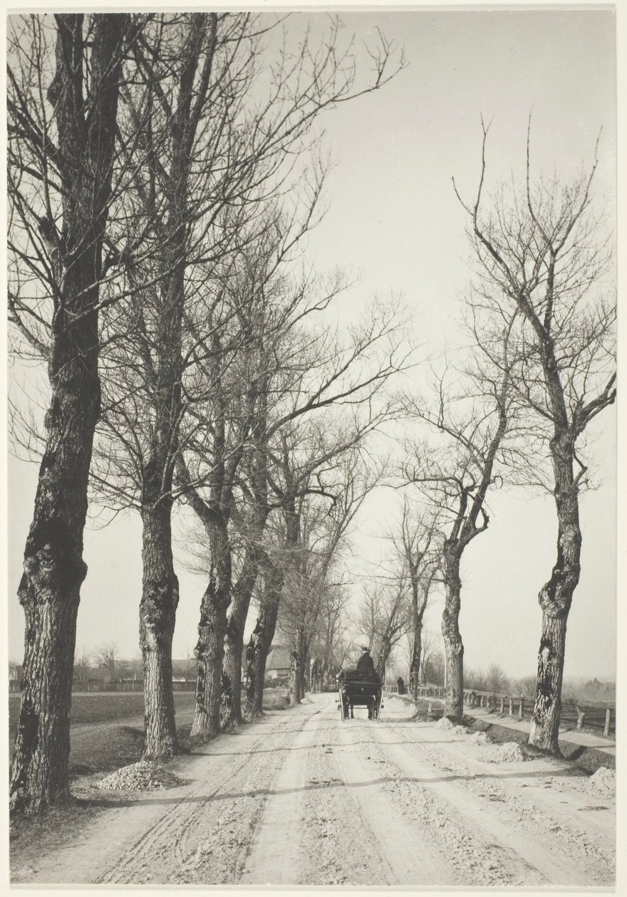 novemberdagar av Alfred Stieglitz
